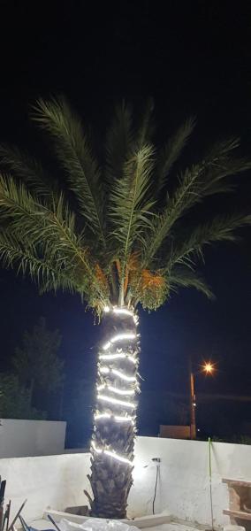 APARTAMENTOS LA PALMERA, Fernán Pérez
